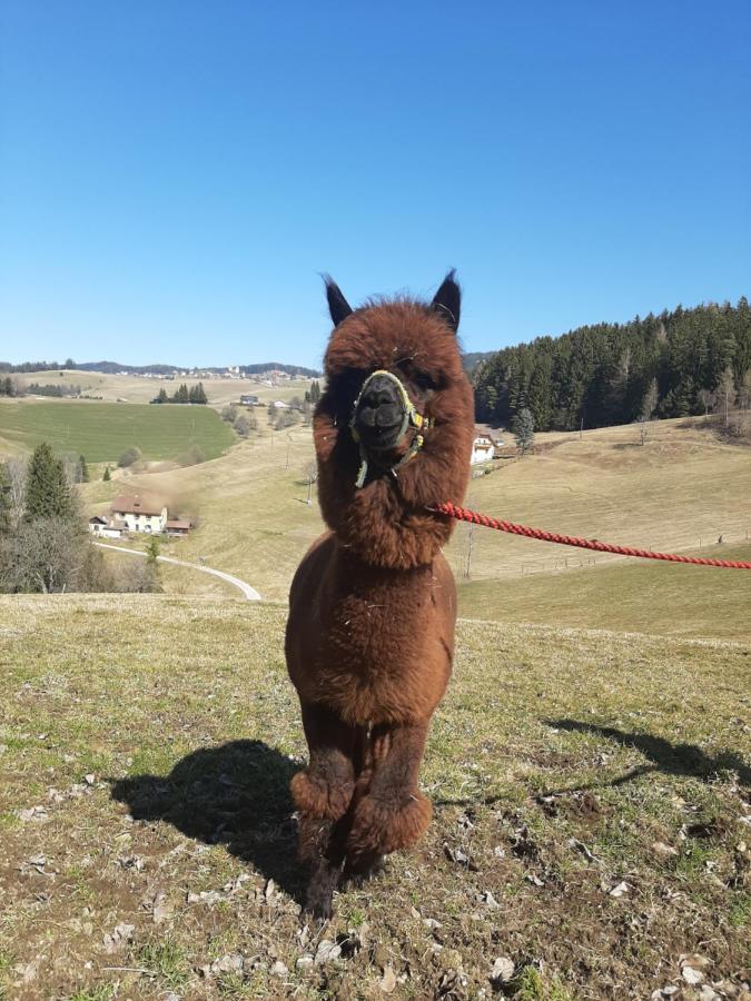 Villa Zukaunighof Diex Esterno foto