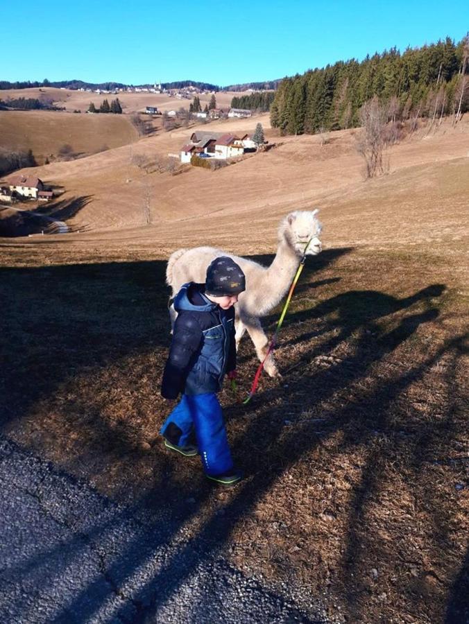 Villa Zukaunighof Diex Esterno foto